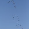 Aviation